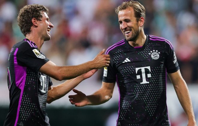 在国内体育 在国内体育