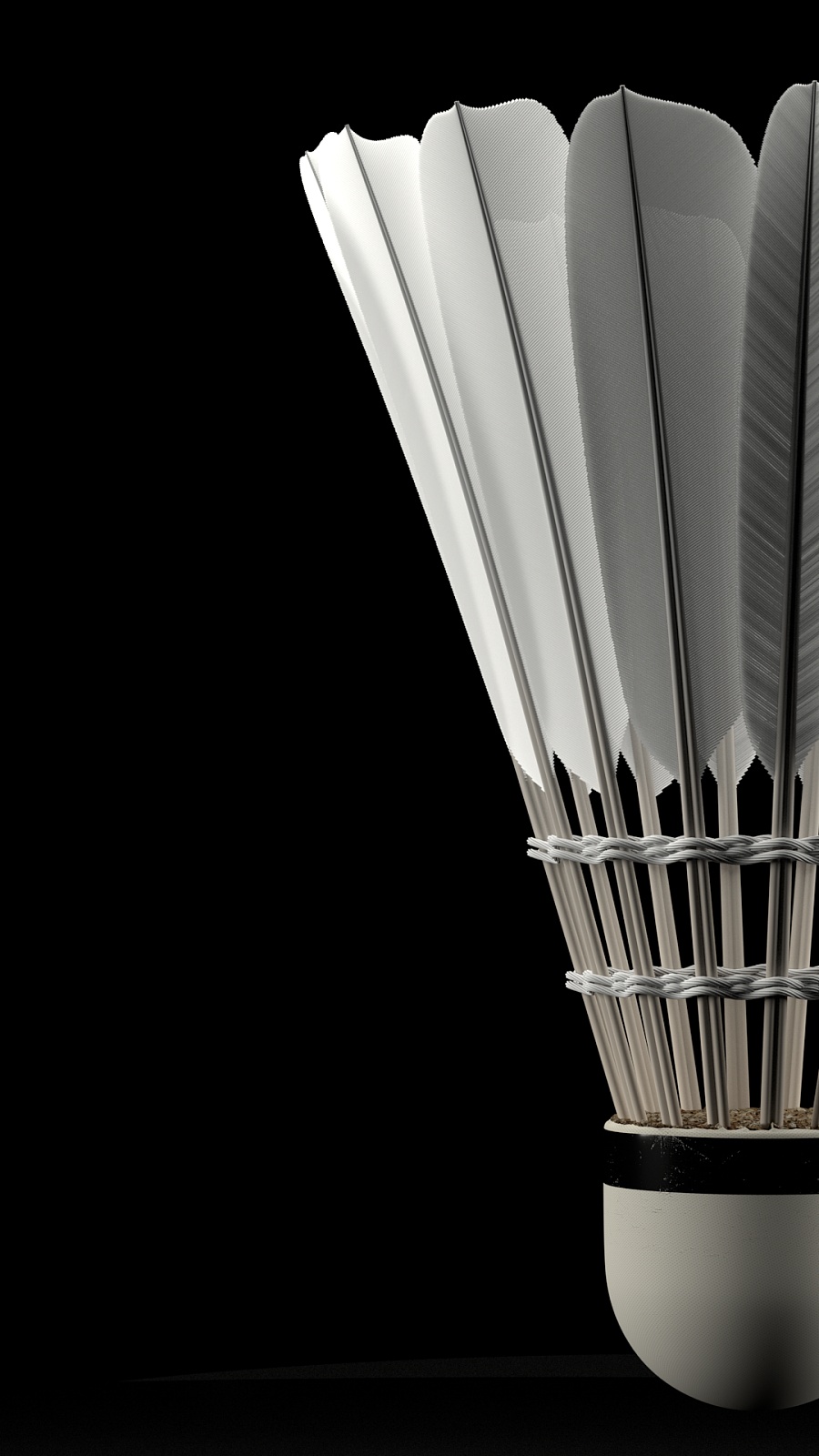 这位球员可 这位球员可